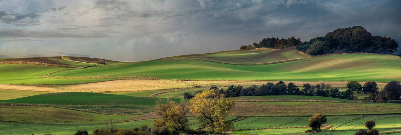 Muldvarpebekæmpelse Djursland naturligt